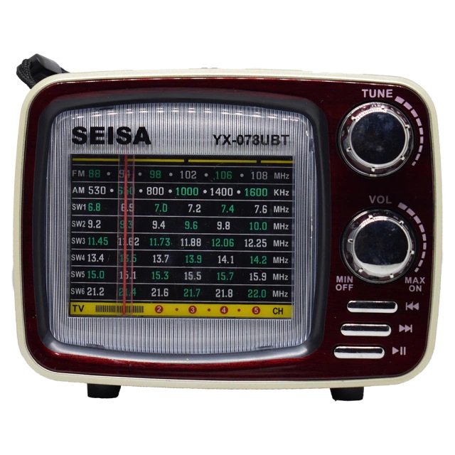 PARLANTE PORTATIL RADIO Y LECTOR TARJETA YX-078UBT